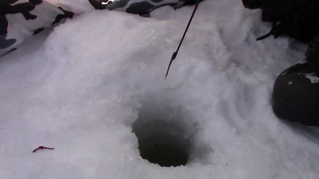 Верх-Чумыш - 5.01.2015. Зимняя рыбалка на Чумыше. Окунь на мормышку. смотреть онлайн