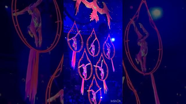 В Цирке Никулина 20.01.24-028