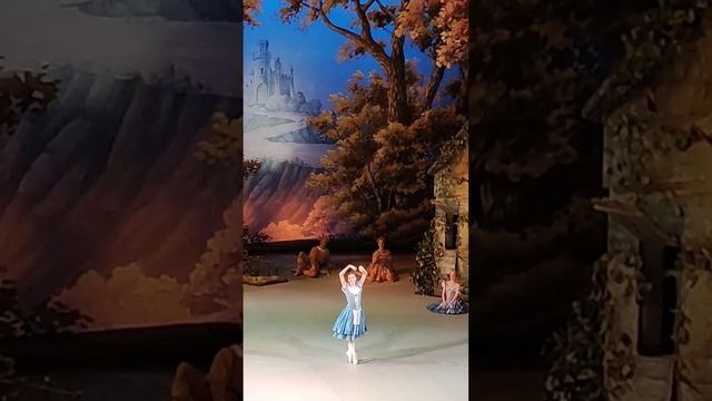 Балет Жизель - Михайловский театр. смотреть онлайн