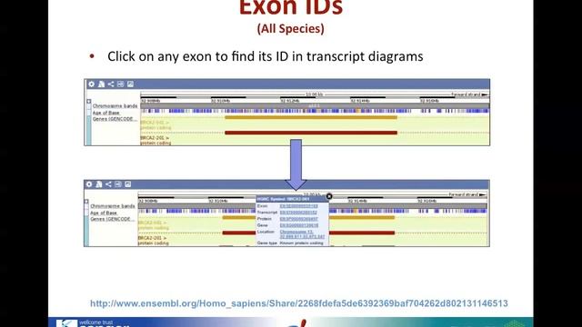 Webinar: New in Release 75 (March 2014) смотреть онлайн