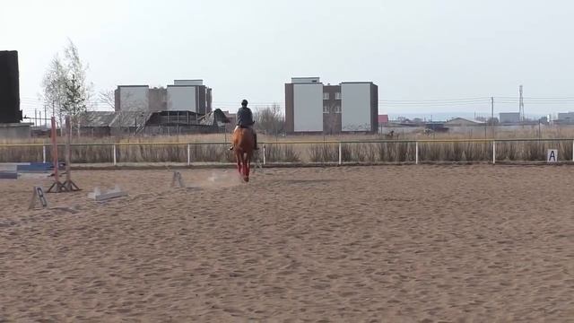 Как отучить лошадь бочить на галопе смотреть онлайн