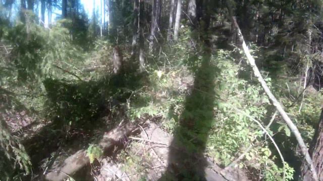 Рогейн #эрзя #рогейн #nnrogain смотреть онлайн