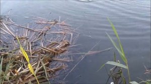 Ловля на пенопласт _ тапочки . « СТАРАЯ НОВАЯ  СНАСТЬ « . Тест по полной ...