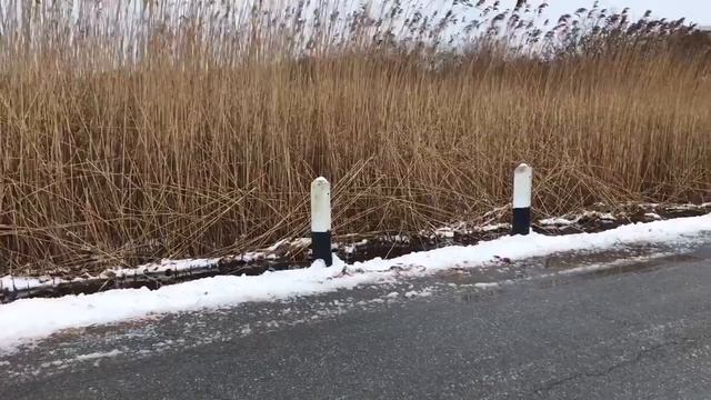 WHAT IF A FILM BY HOLDEN (KYLE MAREK, BEN PORTER) смотреть онлайн