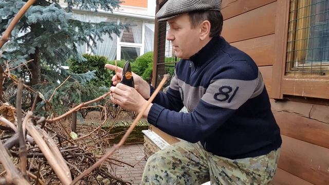 Виноградная лоза смотреть онлайн