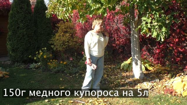УХОД ЗА ПЛОДОВЫМ САДОМ ОСЕНЬЮ! смотреть онлайн