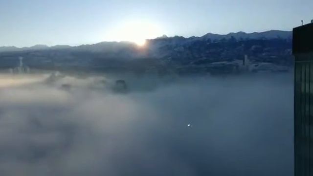 Алматы сильно накрыло туманом смотреть онлайн