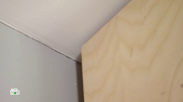 Kvartirni vopros 08.12.2018 квартирный вопрос на remont-online.net смотреть онлайн