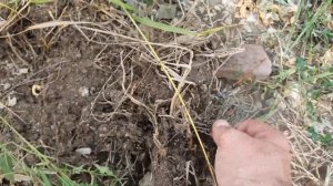 КУЧИ МЕДИ. ДОБЫЧА ЦВЕТНОГО МЕТАЛЛА. Коп цветного металла.