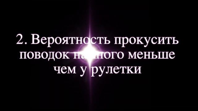 Рулетка или поводок? Практический подход. Что выбрать? смотреть онлайн