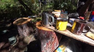 ДОБРАЛИСЬ ДО ЗАВЕТНОЙ РЕКИ, ГДЕ МНОГО ЛЕТ НЕ СТУПАЛА НОГА ЧЕЛОВЕКА.