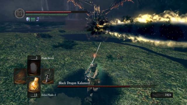 Dark Souls Part 12 Dragon smagon I have a plan... смотреть онлайн