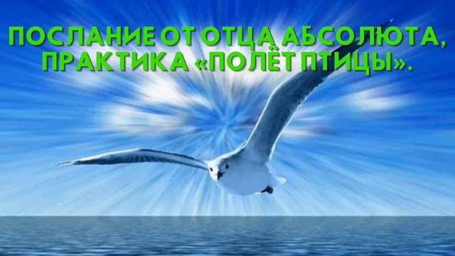 Послание от Отца Абсолюта, Практика «Полёт птицы» смотреть онлайн