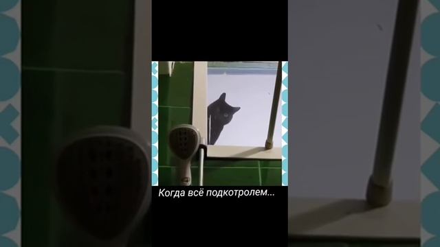 Подкотролем смотреть онлайн