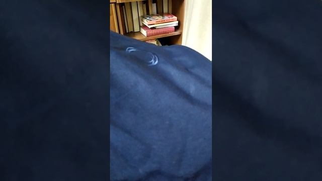 Прогулочная коляска Bugaboo Bee5 classic navy 21.11.22 смотреть онлайн