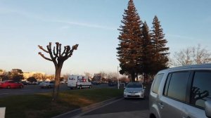 Цены на бензин в США. Сколько стоит бензин в Америке. Как заправить машину в Америке.