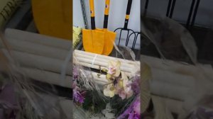 Редкие растения в Краснодаре