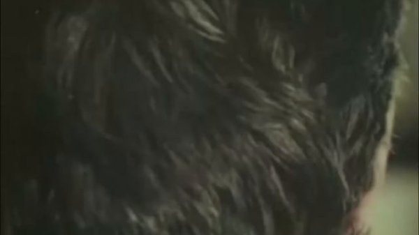 Ламбада + Калинка-Малинка на баяне