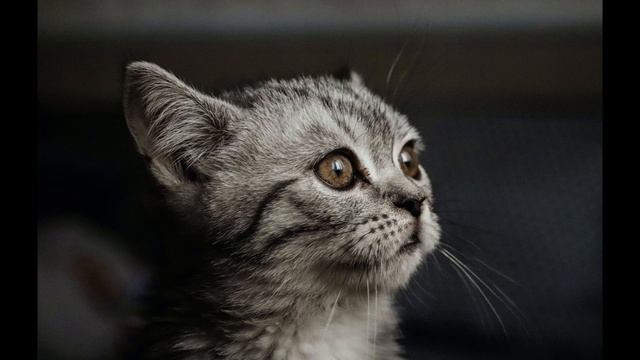 Best Relax MUSIC Hip Hop And Rap 119