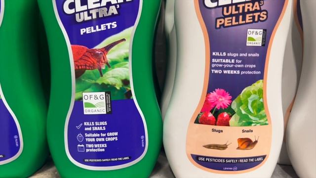 Розы в саду 2022. Садовый центр Англии - B & Q. Купила новые штамбы - розы Кордес. смотреть онлайн