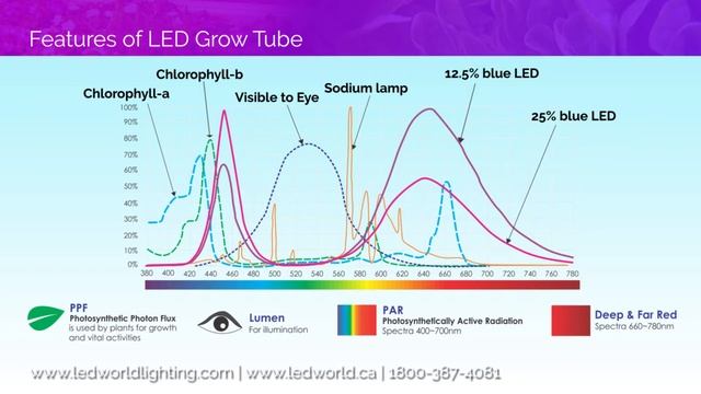 Horticultural LED Grow Tube смотреть онлайн