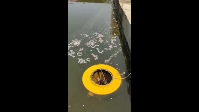 Почистить водоём — легко! смотреть онлайн