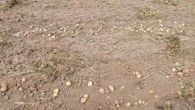 Урожай 2021 года смотреть онлайн