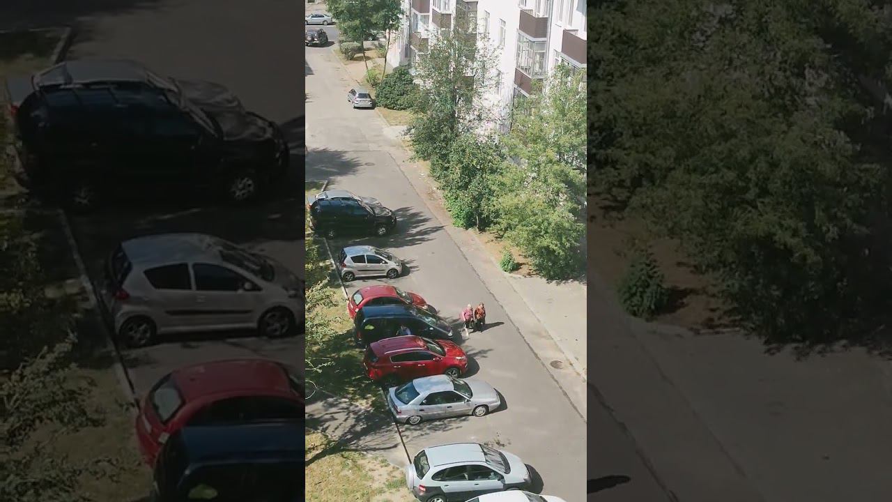 Respect 2908241249 #asmr #automobile #remix #new #nature смотреть онлайн