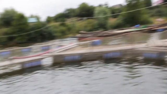 Как хлорелла влияет на воду в водоеме? Хлорелла Альготек на рыбном хозяйстве Тучковском. смотреть онлайн