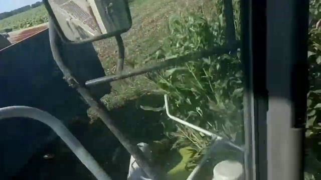 Уборка кукурузы на силос Claas Jaguar 870 смотреть онлайн