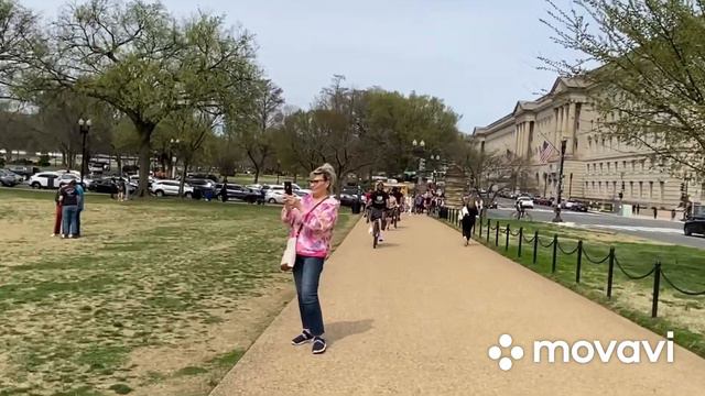 США. посмотрели как цветёт САКУРА 🌸🌺🌸в ВАШИНГТОНЕ смотреть онлайн