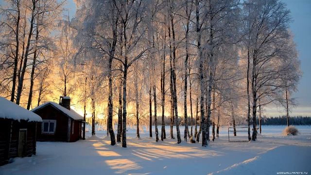 Подкаст Вебовоща / Болезни, текущие события в мире, зима и ламповость смотреть онлайн