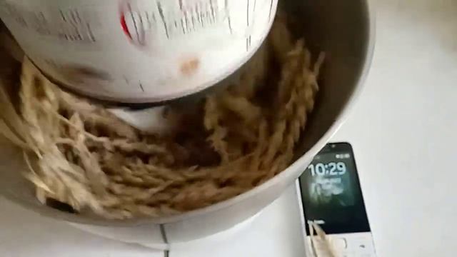 Механический обмолот пшеницы в домашних условиях в 21-м веке смотреть онлайн