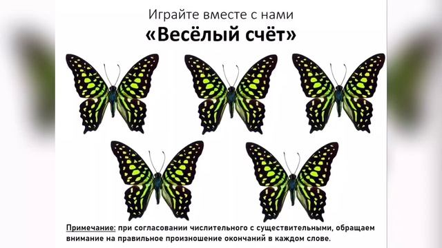 Интересные факты о насекомых смотреть онлайн