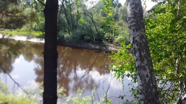 ЧТО МЫ ДЕЛАЛИ ВДВОЁМ НА ПРИРОДЕ? смотреть онлайн