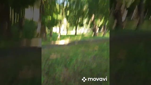 лес возле санатория ленина Бобруйск смотреть онлайн