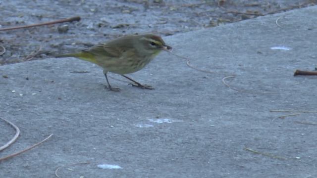 Parque Antonio Maceo