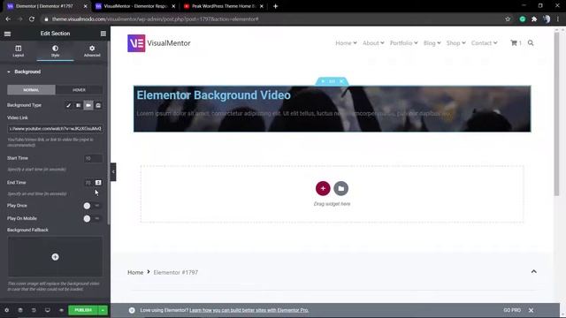 How To Add Background Videos In Elementor WordPress Plugin? смотреть онлайн