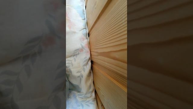 Вызов духа гномик желаний (очень добрый дух) смотреть онлайн