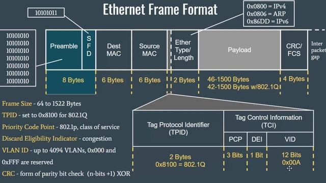 VLANs, Trunks, 802 1Q, DTP, and VTP for Beginners смотреть онлайн