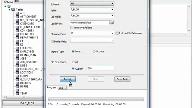 Batch import Oracle BLOB data from files смотреть онлайн