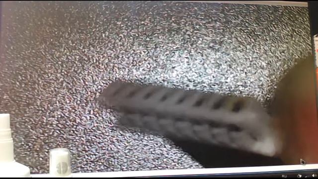 Ремонт монитора ACER v193A (сикнул котик) смотреть онлайн