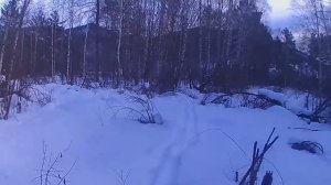 Охота на соболя с пневматикой.