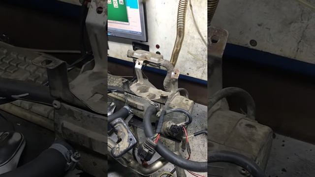 D5WZ смотреть онлайн