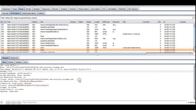 WebSocket : Cross Site Hijacking || PortSwigger || BurpSuite || WebAcademy || Webapplication || 202 смотреть онлайн