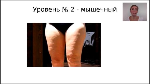 Ваша программа стройности и омоложения(Ведет Елена Шапаренко) смотреть онлайн