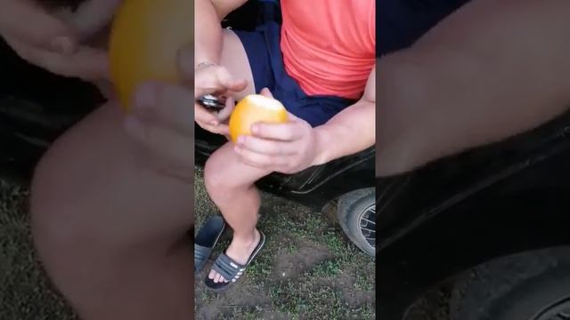 Как легко почистить апельсин. Лайфхак! смотреть онлайн
