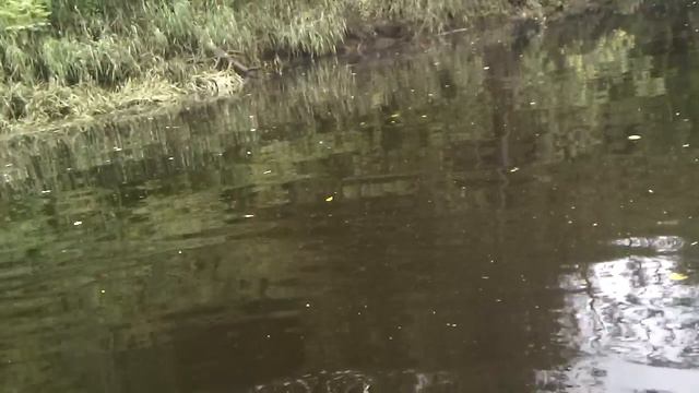 Рыбалка на щуку река Вопь июнь 2012 смотреть онлайн