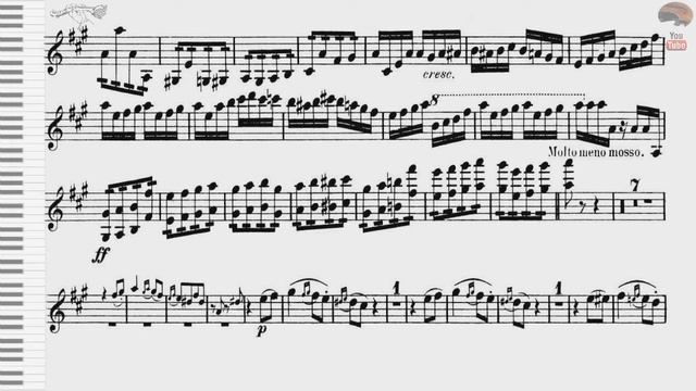 Tchaikovsky Violín Concerto in D major op 35, (2mv, 3mv) piano professional accompaniment смотреть онлайн