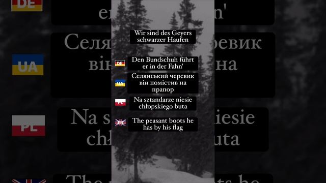 Wir Sind Des Geyers schwarzer Haufen #lyricsvideo смотреть онлайн